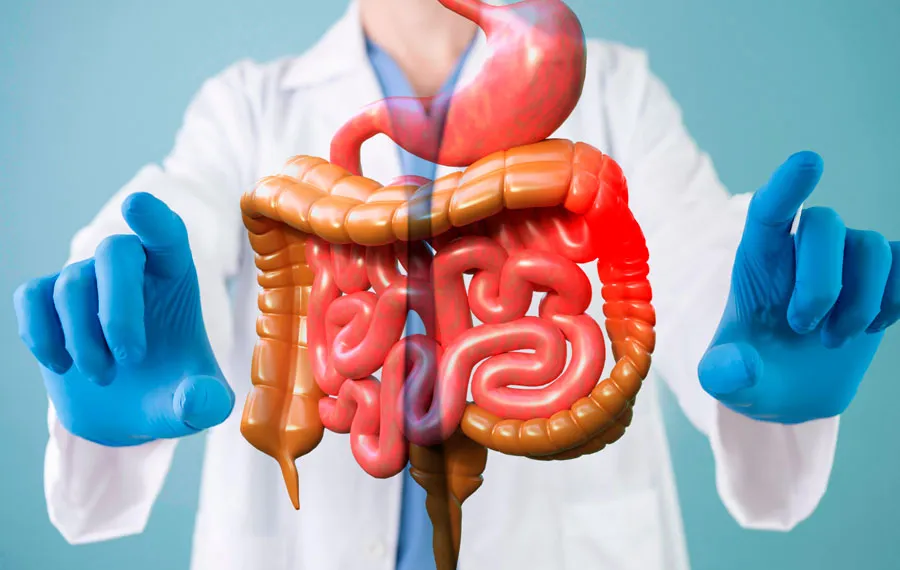 Coloproctologia